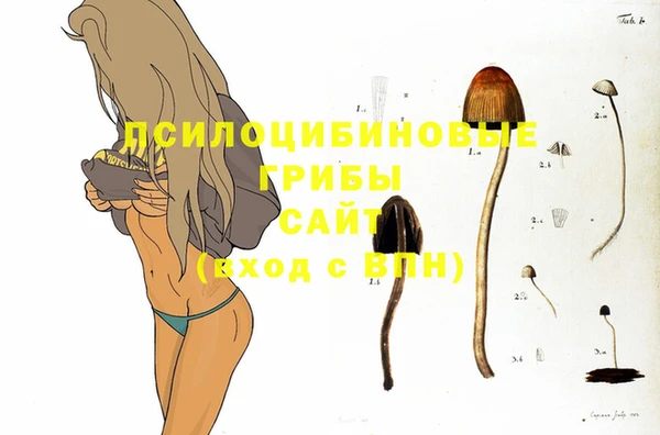 метамфетамин Белокуриха