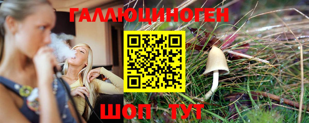Псилоцибиновые грибы ЛСД Гулькевичи